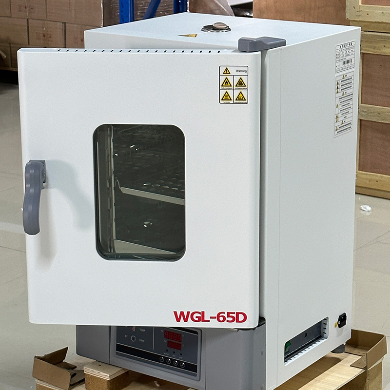 Wax Melts - Electric Blast Drying Oven For Laboratory