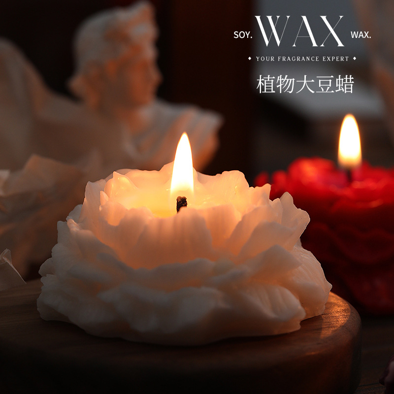 Camellia scented candles simpl - огляд і ціна Soy Wax